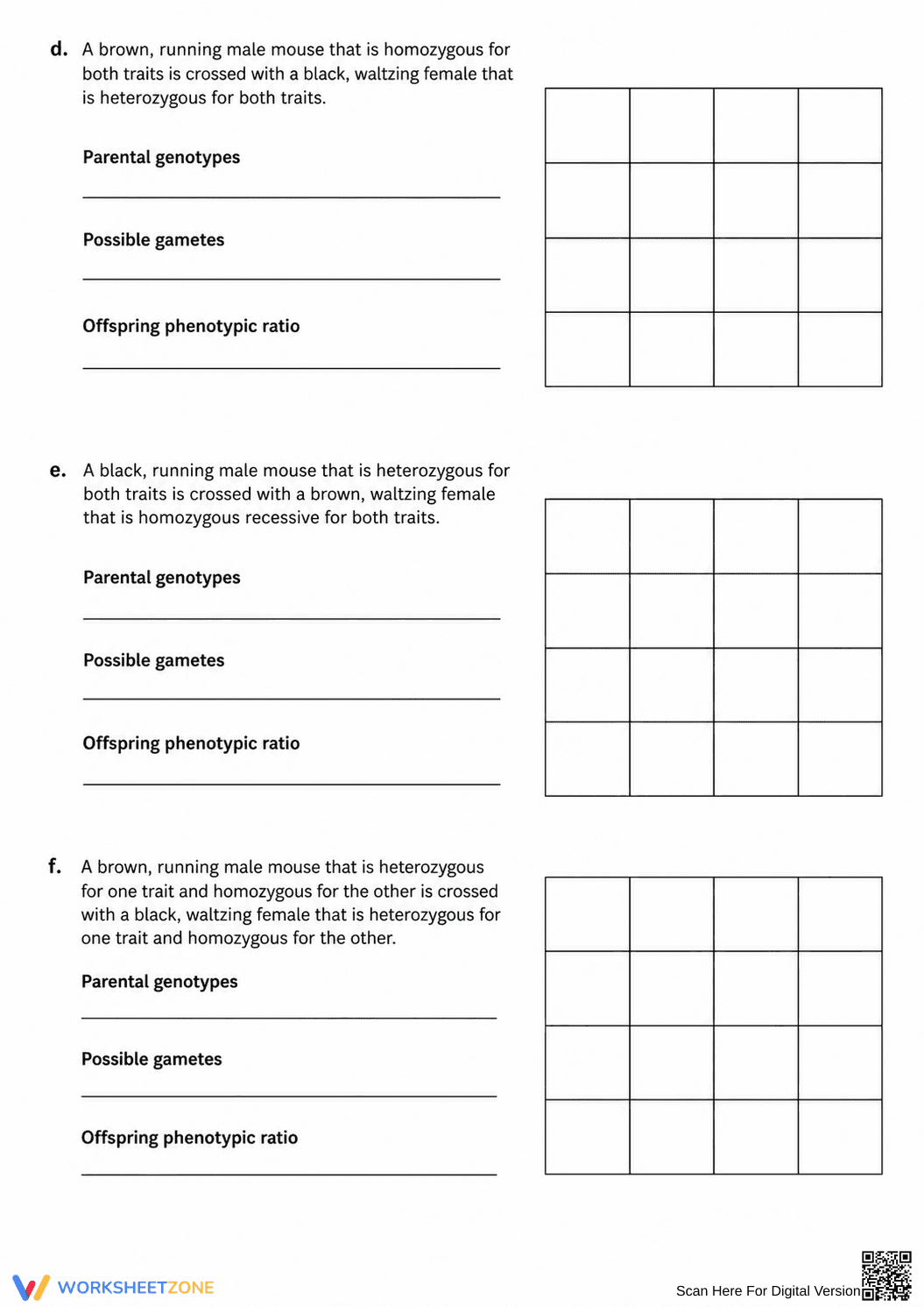 Dihybrid Cross Practice Worksheet | Essential Biology - Page 4