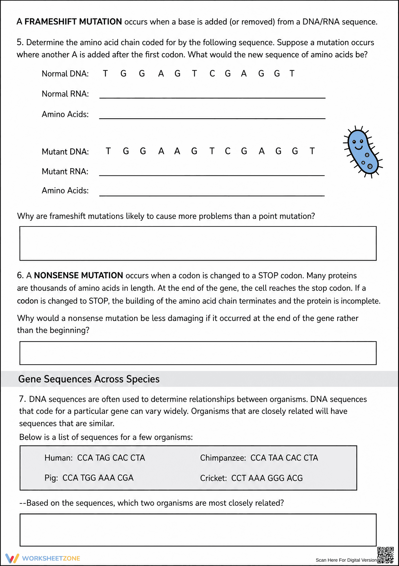 DNA and Mutations Worksheet | Essential Grade 9 Biology - Page 2