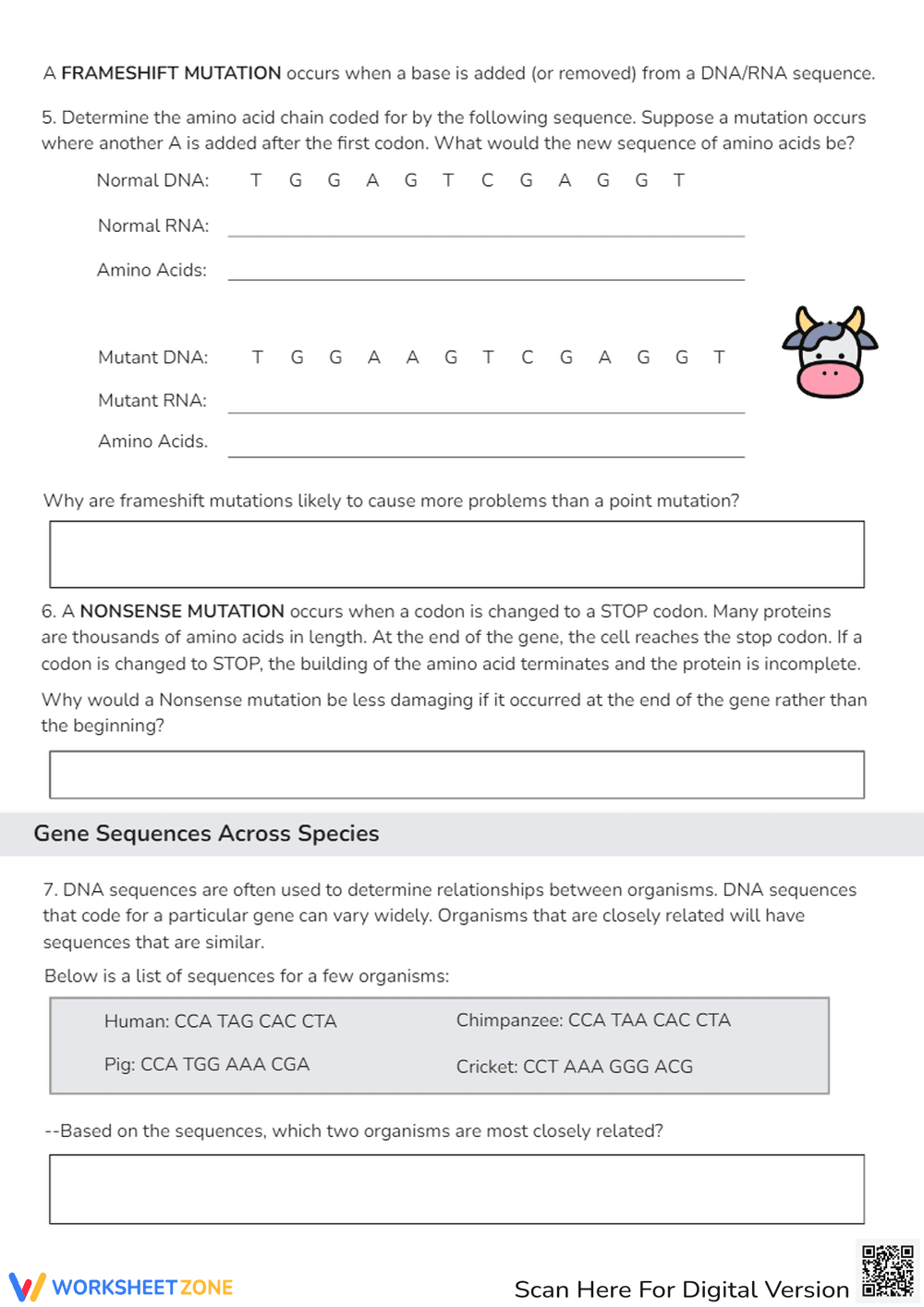 DNA, Proteins, and Mutations Investigation Worksheet - Page 2
