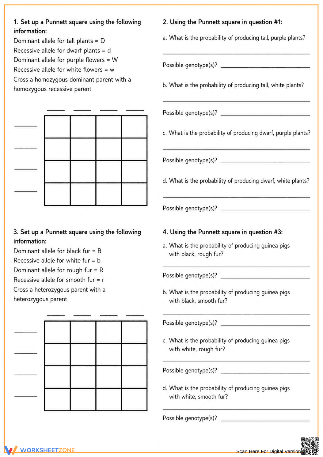 Printable Dihybrid Cross Worksheet | Grade 9-11 Biology - Page 2