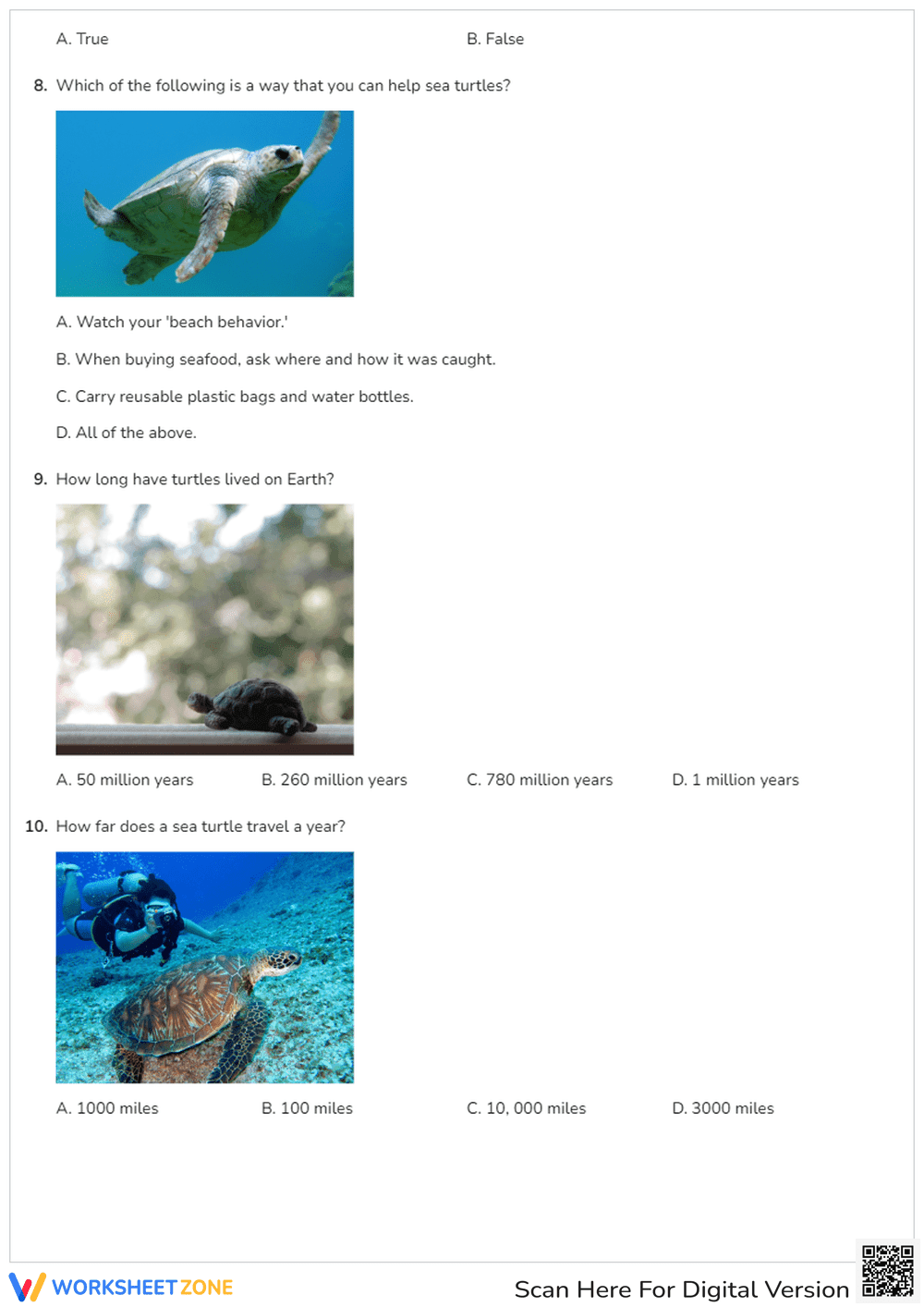 Earth Day Animals: Turtle Quiz - Page 3