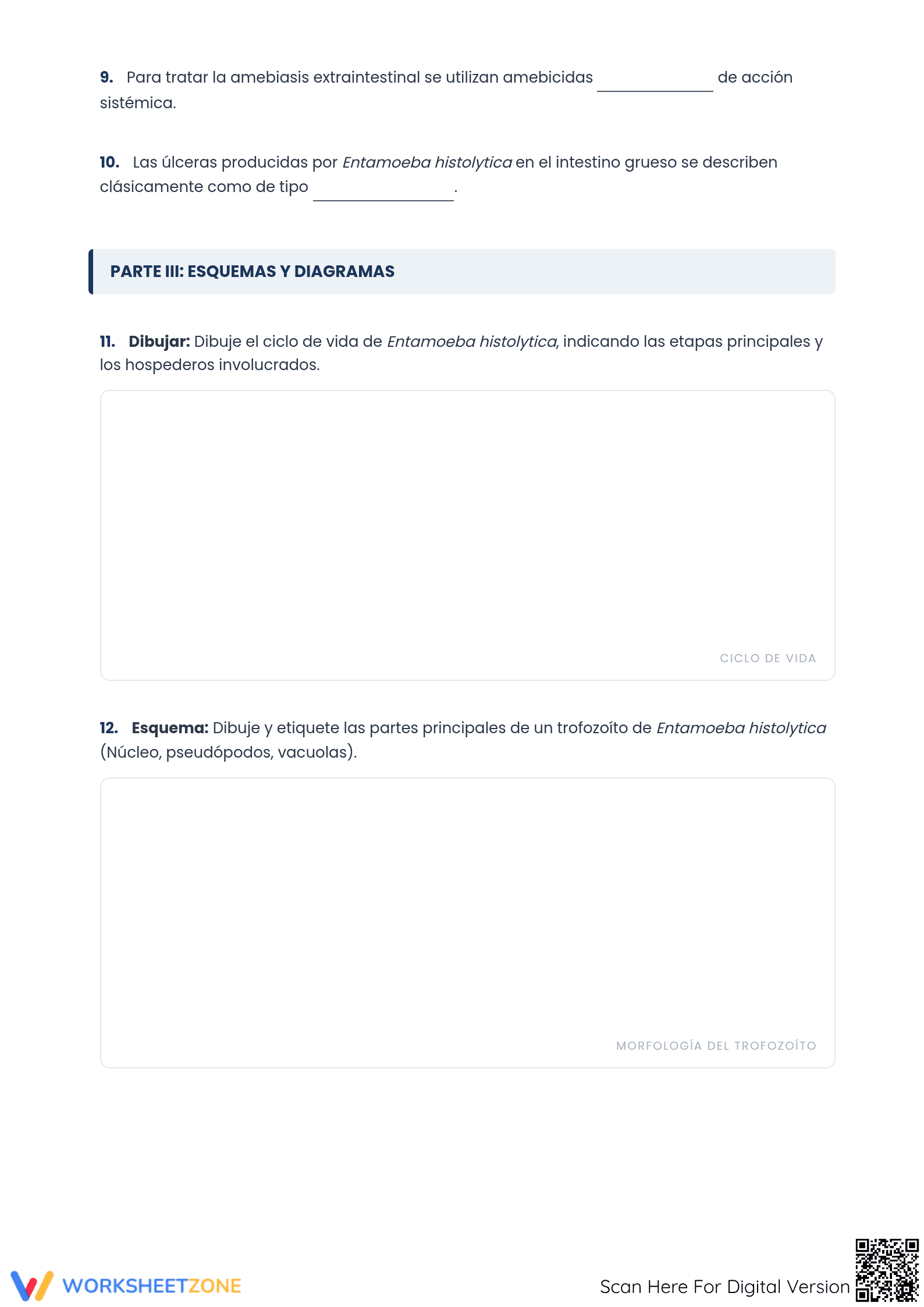 HS-LS1-2 Worksheet: Parasitología — Grade 12 Aligned - Page 2