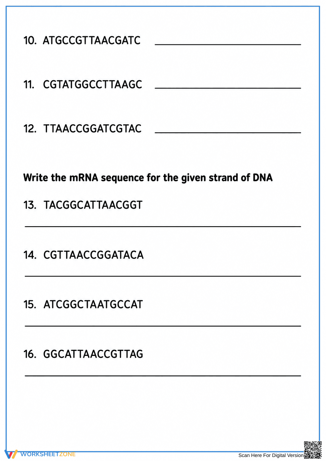 Grades 9-12 DNA Base Pairing — Printable No-Prep Worksheet - Page 2