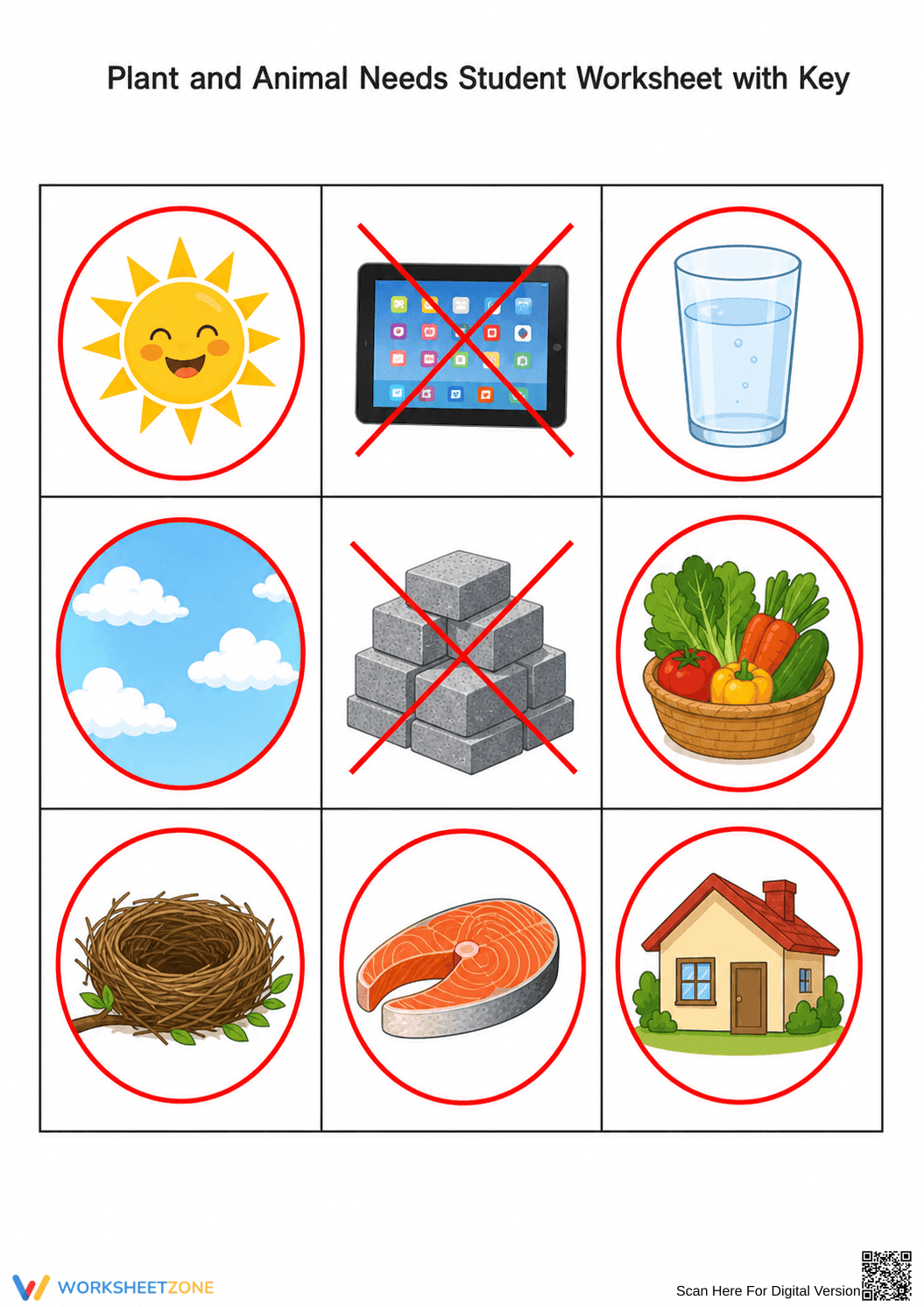 Basic Needs of Plants and Animals Printable | Grade K - Page 2