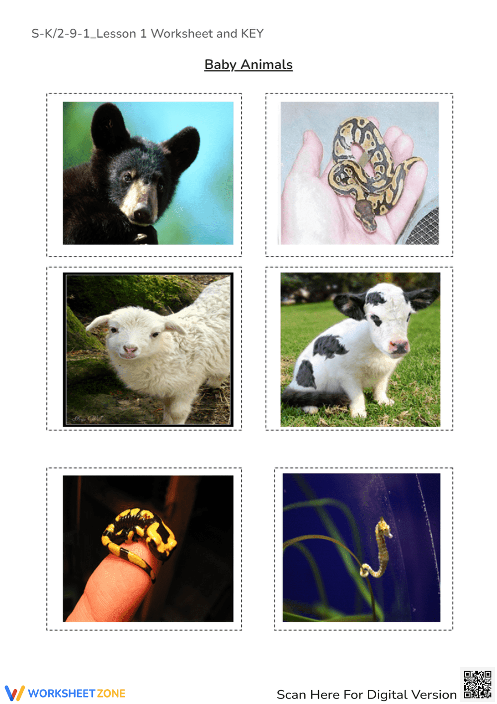 Animal Moms & Babies - Cut & Paste Matching Worksheet! - Page 5