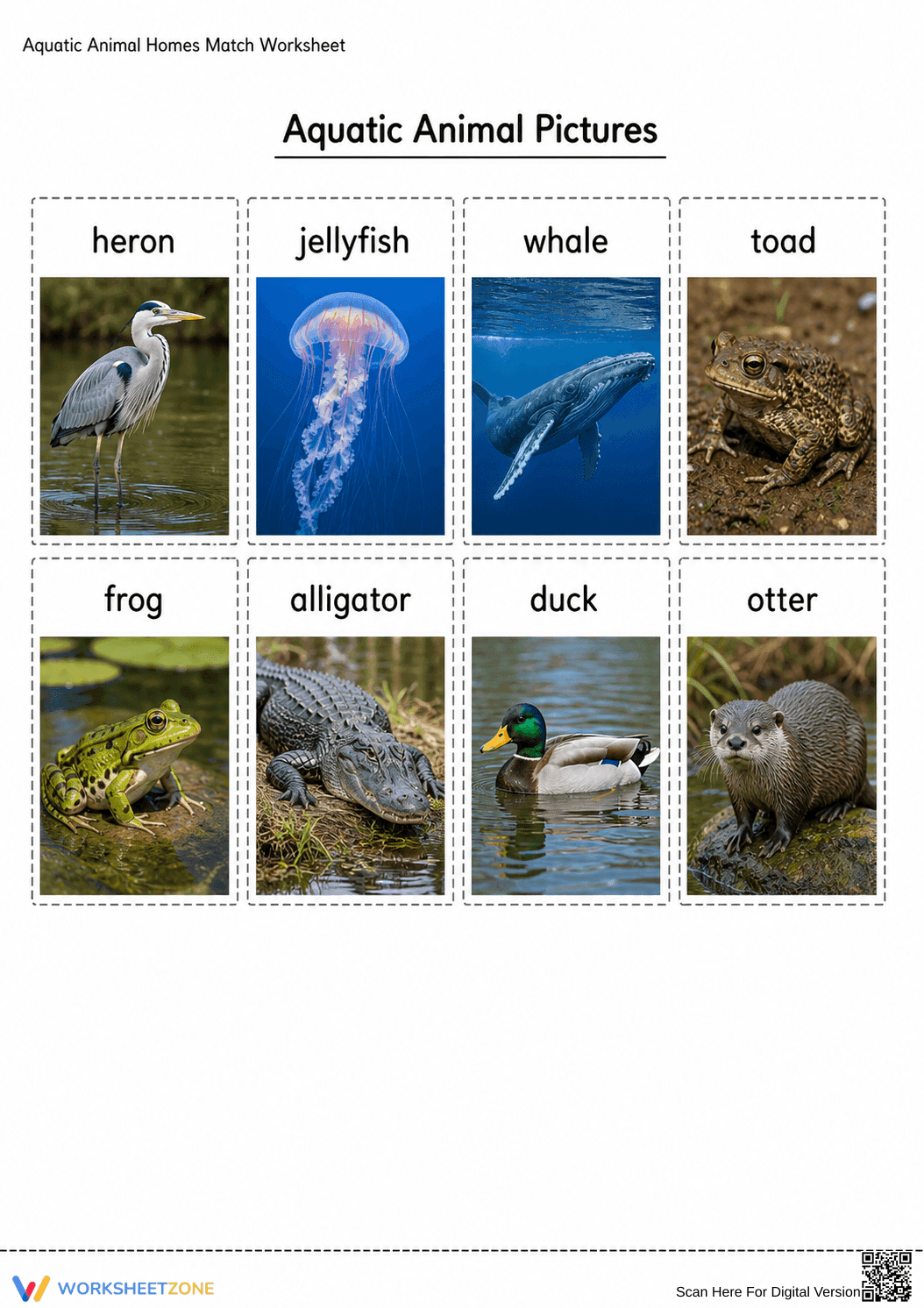 Printable Aquatic Animal Habitats Worksheet | Grade 1 - Page 2