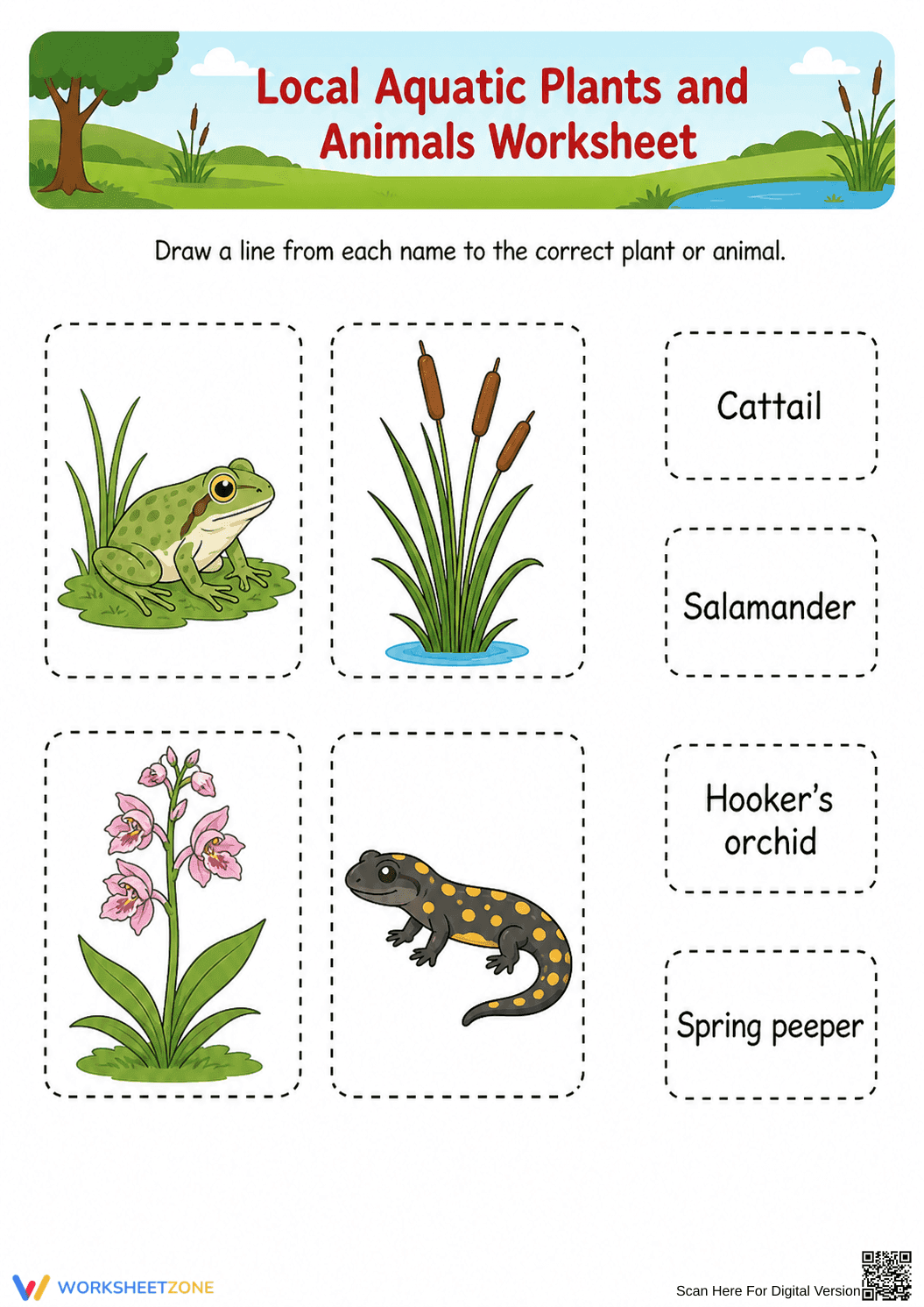 Grade 1 Aquatic Habitats — Printable No-Prep Worksheet - Page 3