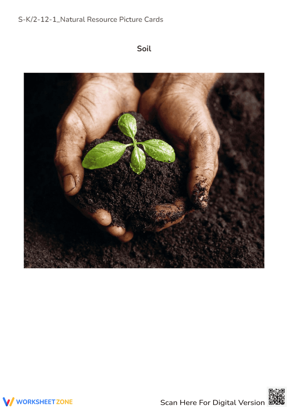 Forest Plants Picture Card - Natural Resource for K-2 Kids - Page 6
