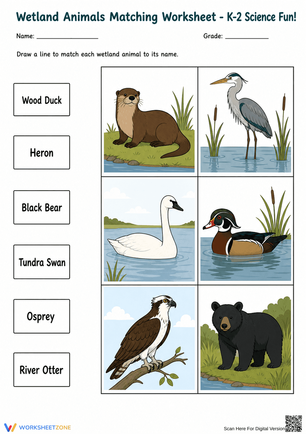 Wetland Animals Matching Worksheet | Grade 2 Essential - Page 2