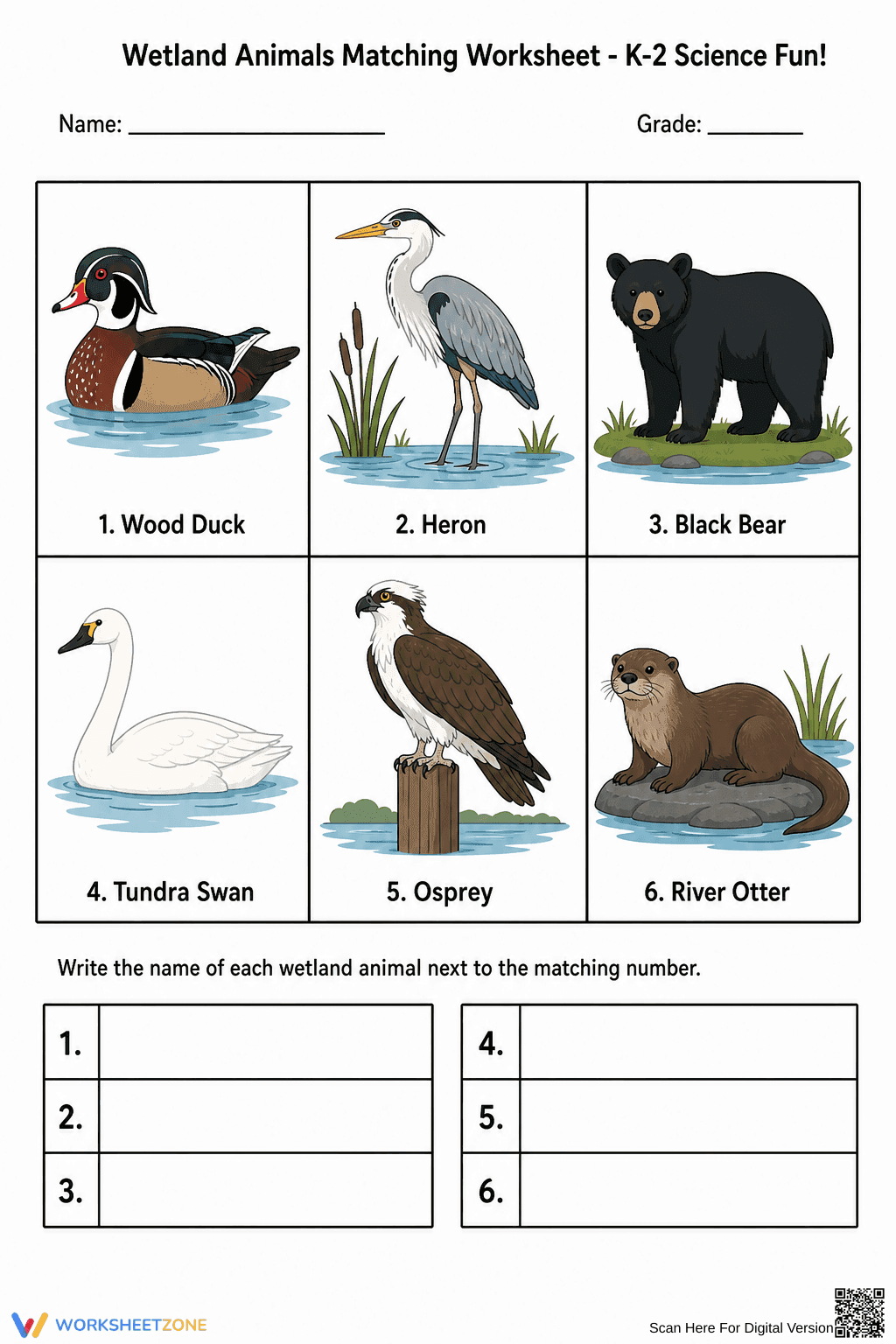 Wetland Animals Matching Worksheet | Grade 2 Essential - Page 3
