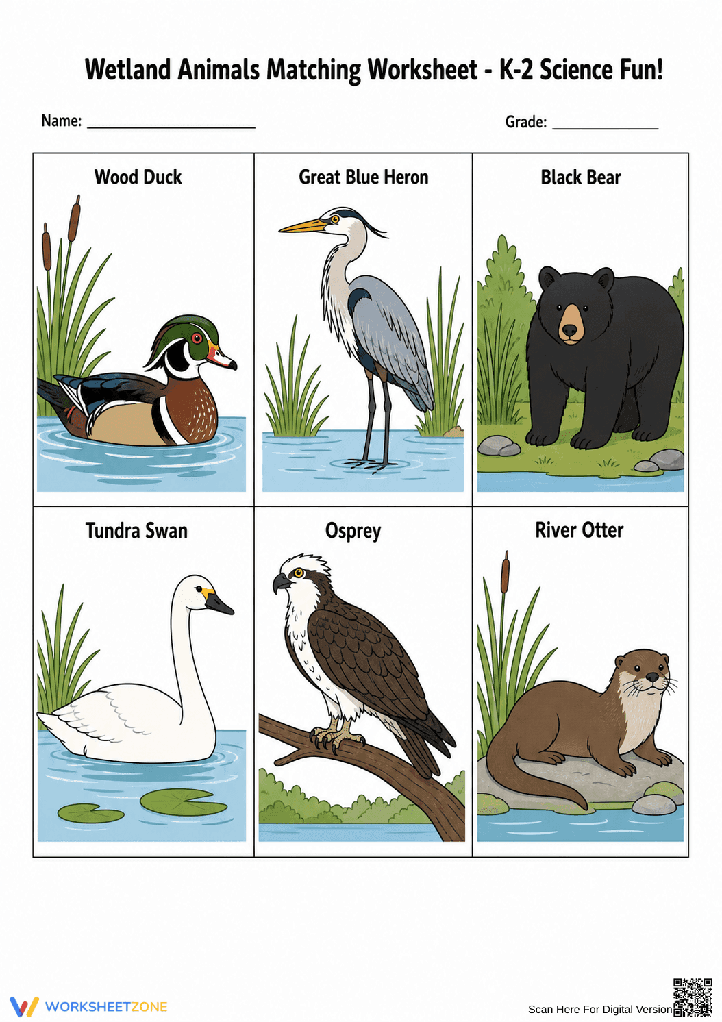 Wetland Animals Matching Worksheet | Grade 2 Essential - Page 4