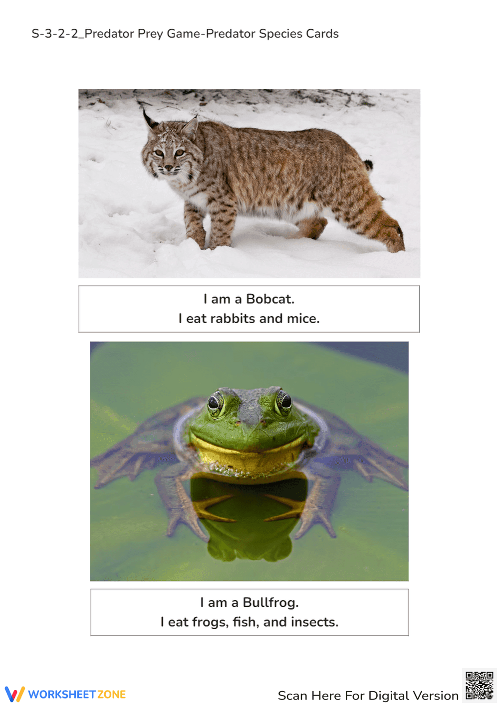 Predator & Prey Cards - Animal Diet Learning Game for Grades 1-3 - Page 3