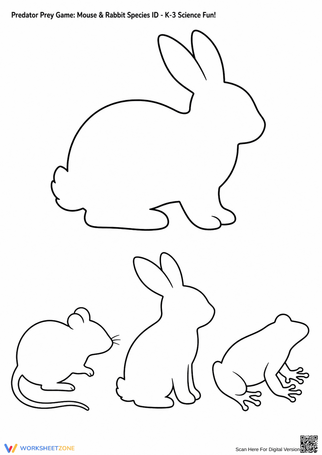 Grade 3 Predator & Prey — Printable Species ID Worksheet - Page 2