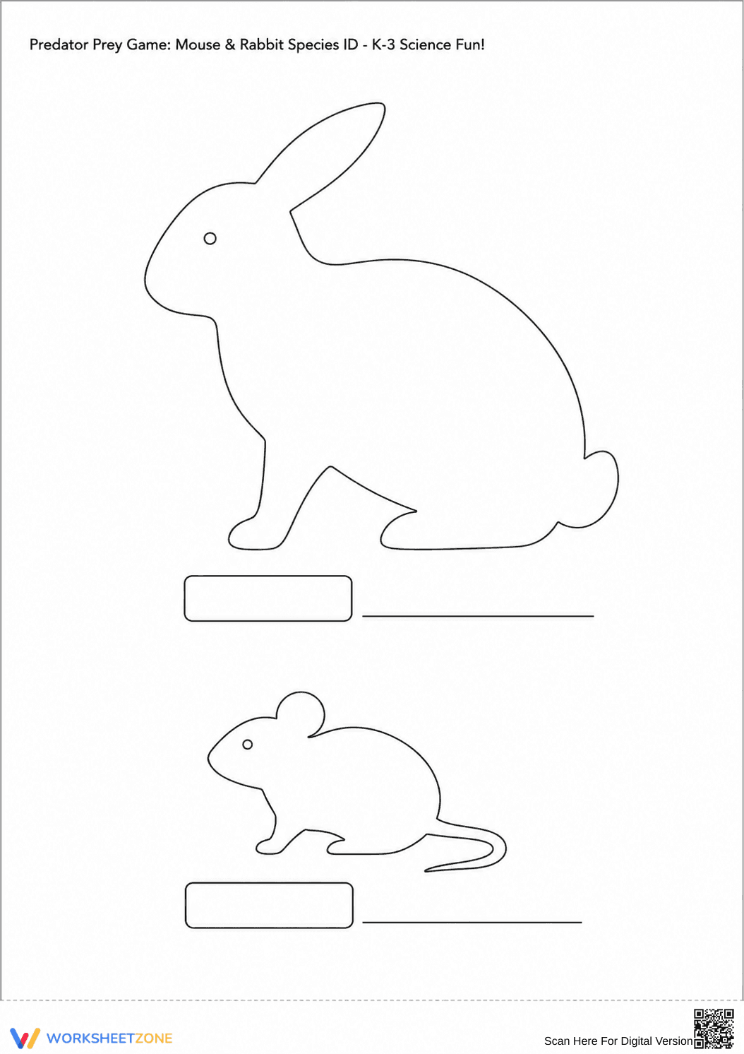 Grade 3 Predator & Prey — Printable Species ID Worksheet - Page 3