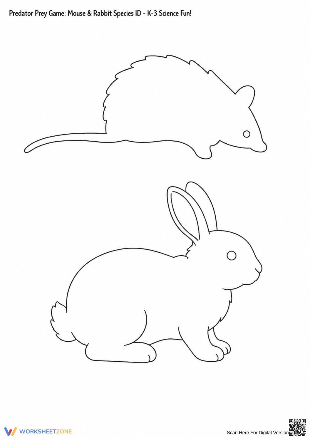 Grade 3 Predator & Prey — Printable Species ID Worksheet - Page 4