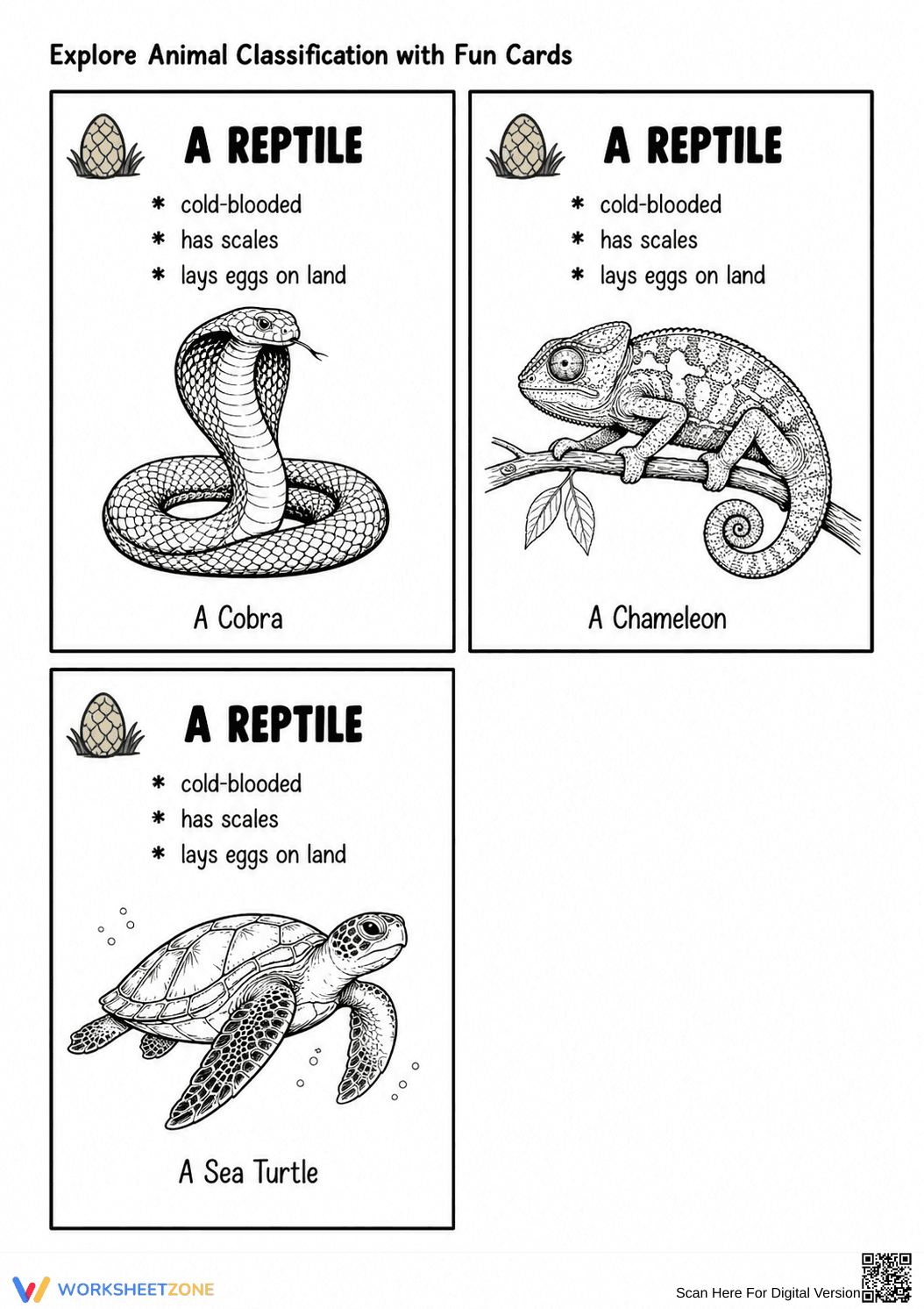 Animal Classification Cards | Grade 3 Essential Science - Page 2