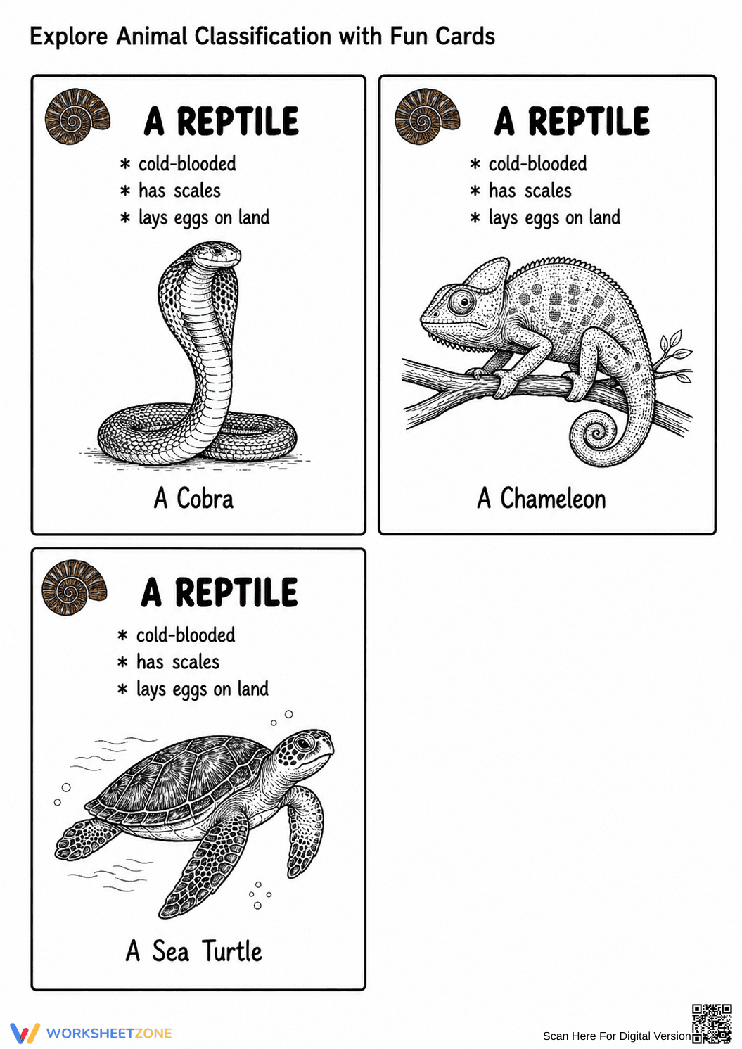 Animal Classification Cards | Grade 3 Essential Science - Page 3