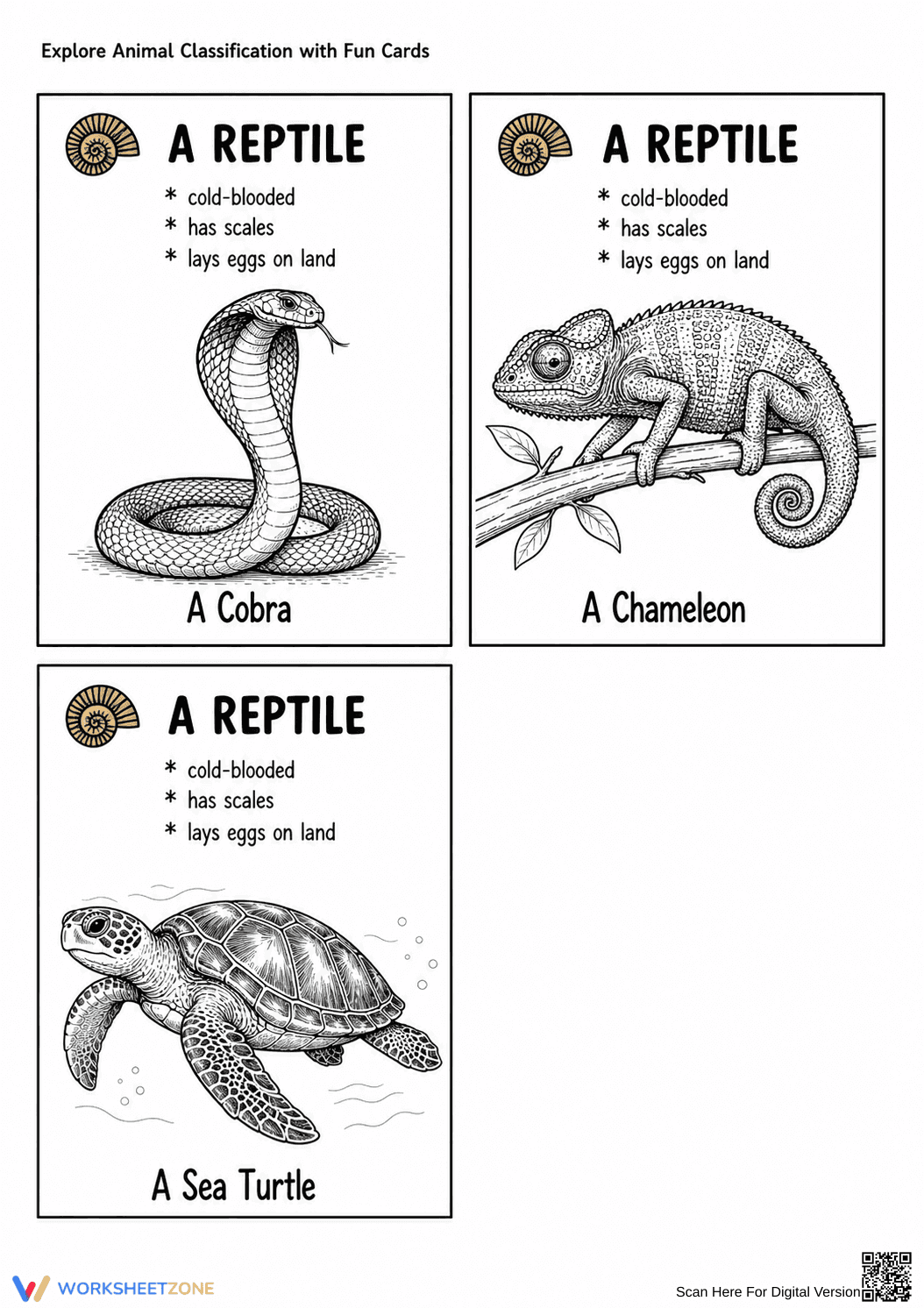 Animal Classification Cards | Grade 3 Essential Science - Page 4