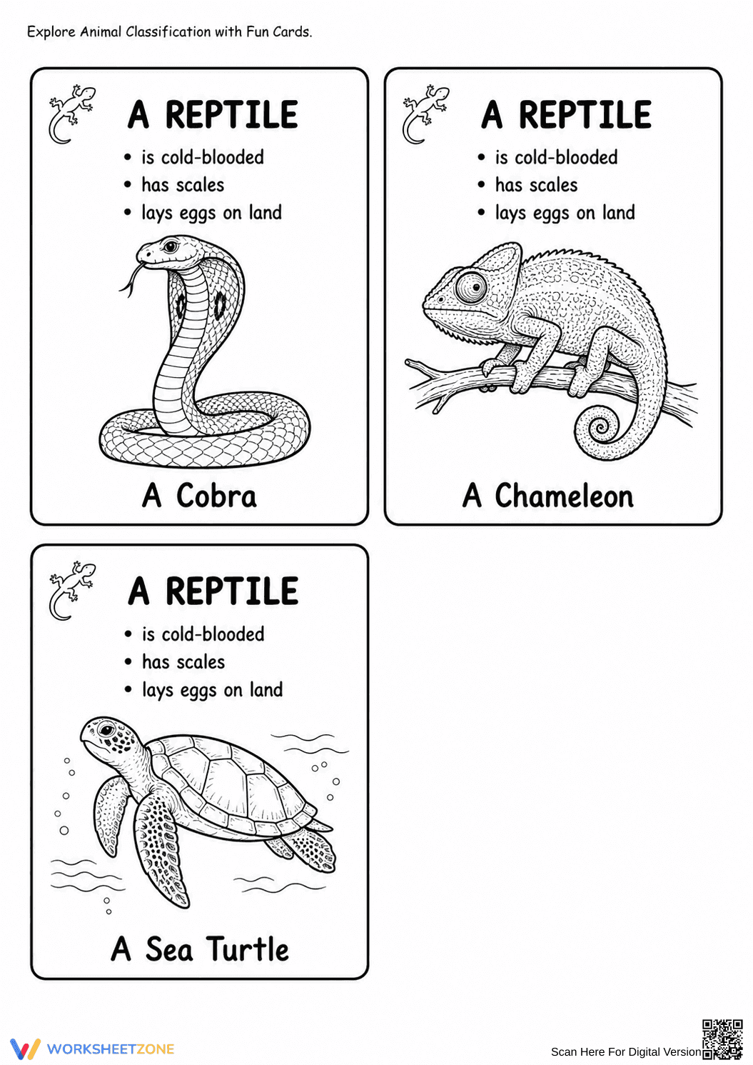 Animal Classification Cards | Grade 3 Essential Science - Page 5
