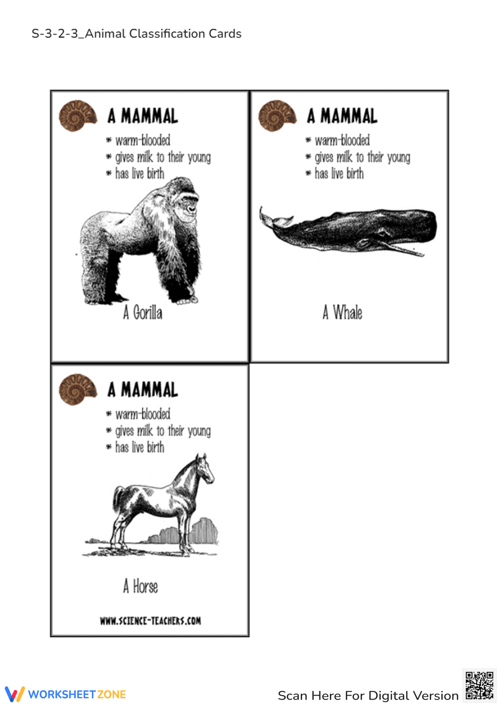 Explore Animal Classification with Fun Cards - Page 4