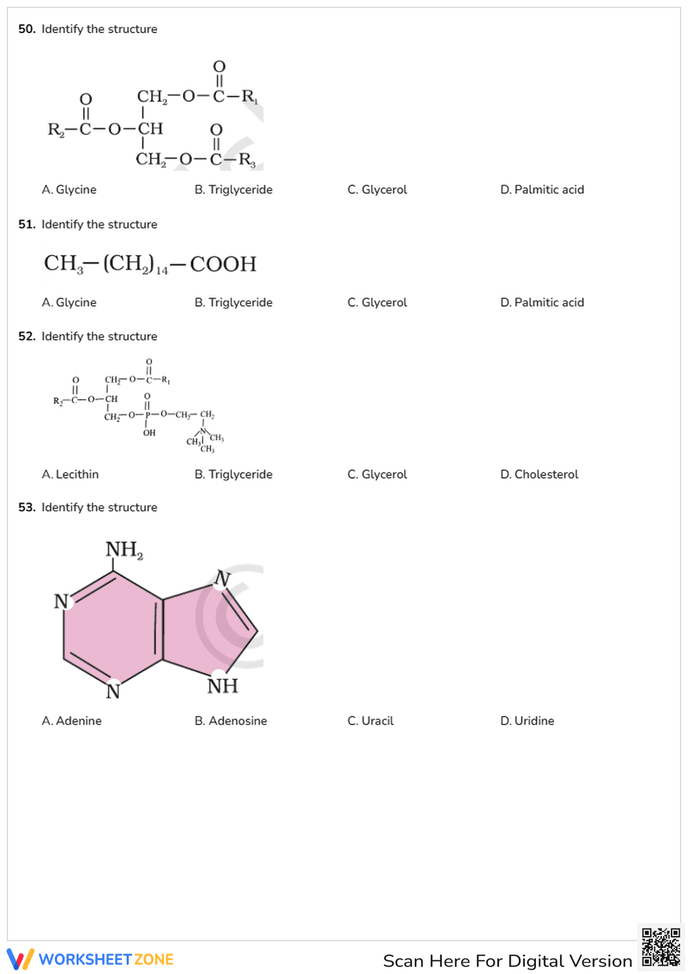 Biomolecules (01) - Page 7