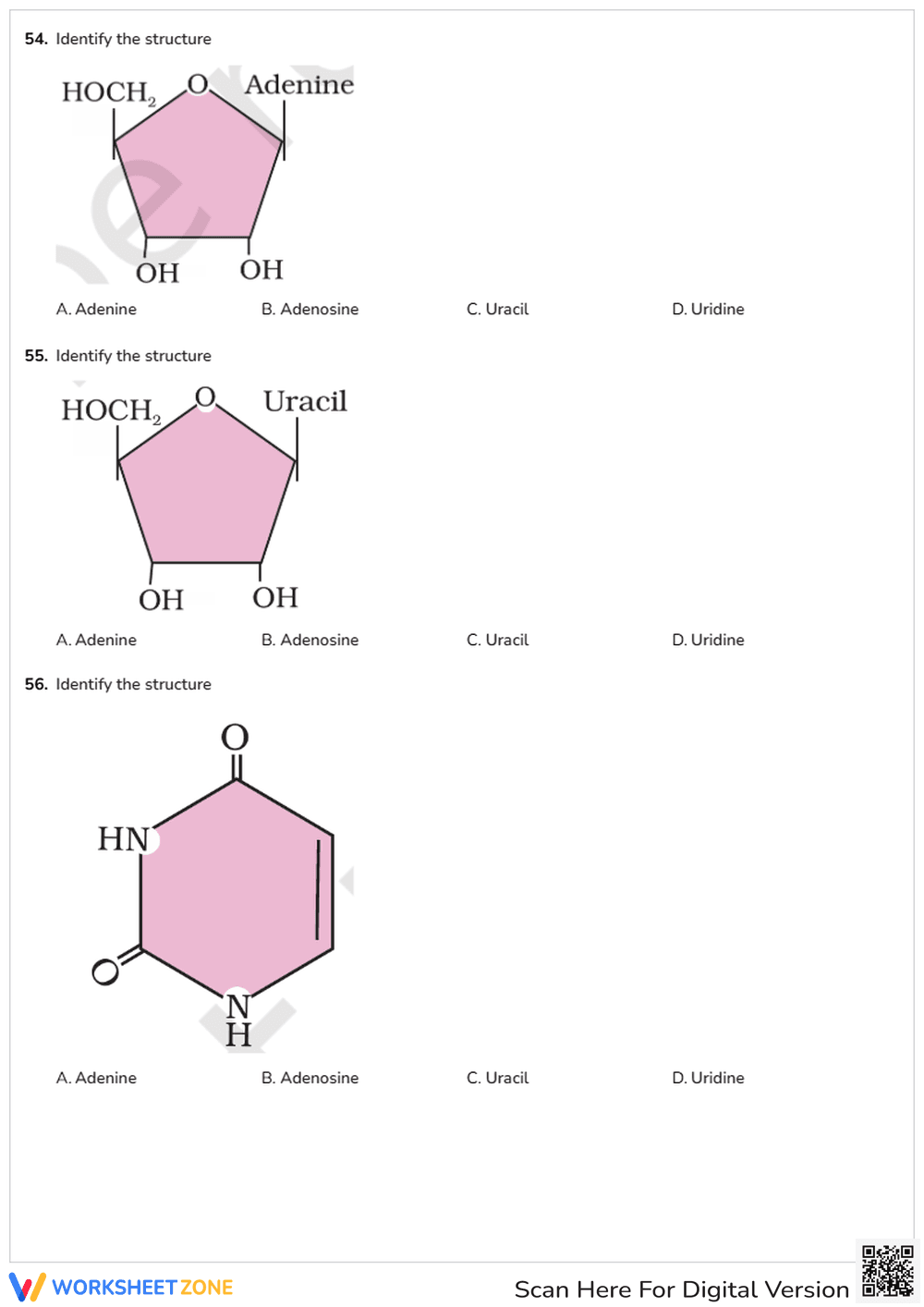 Biomolecules (01) - Page 8
