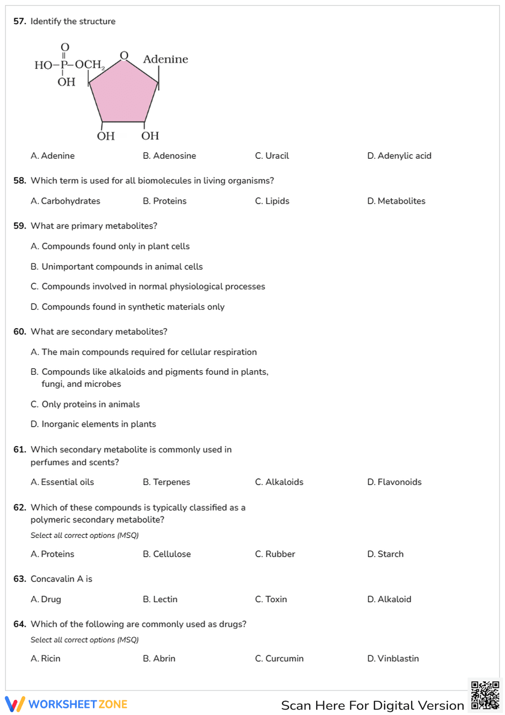 Biomolecules (01) - Page 9