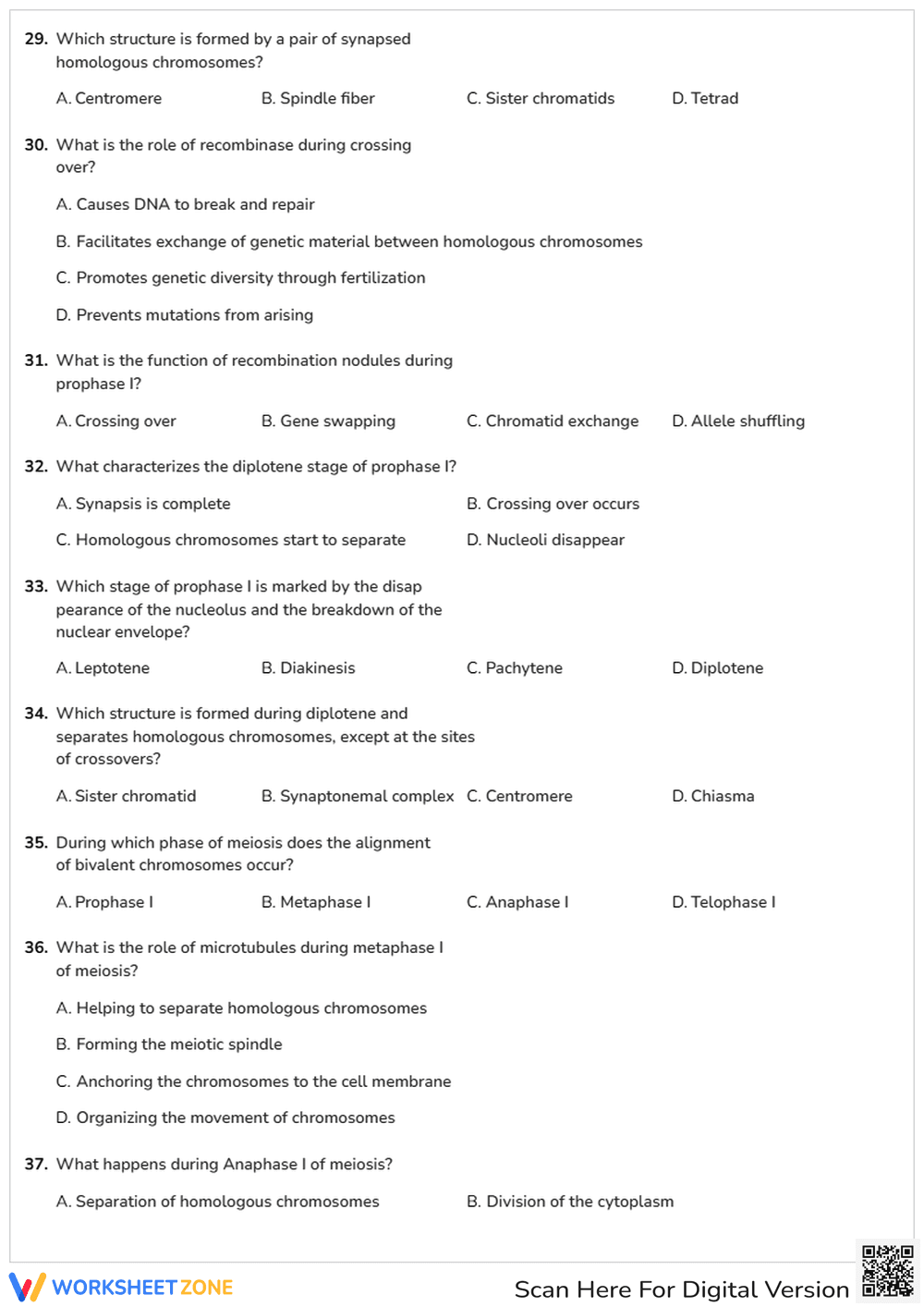 Meiosis - Page 4