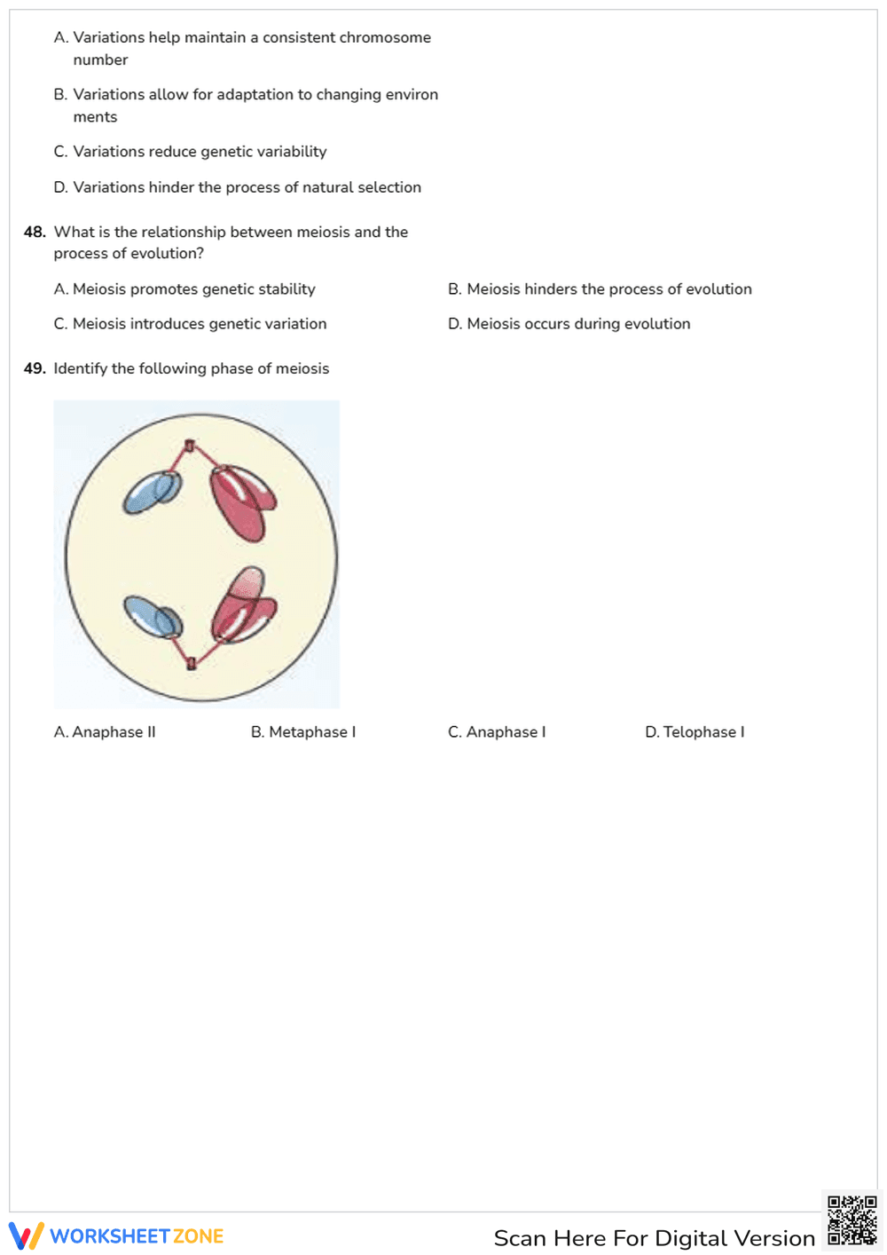 Meiosis - Page 6