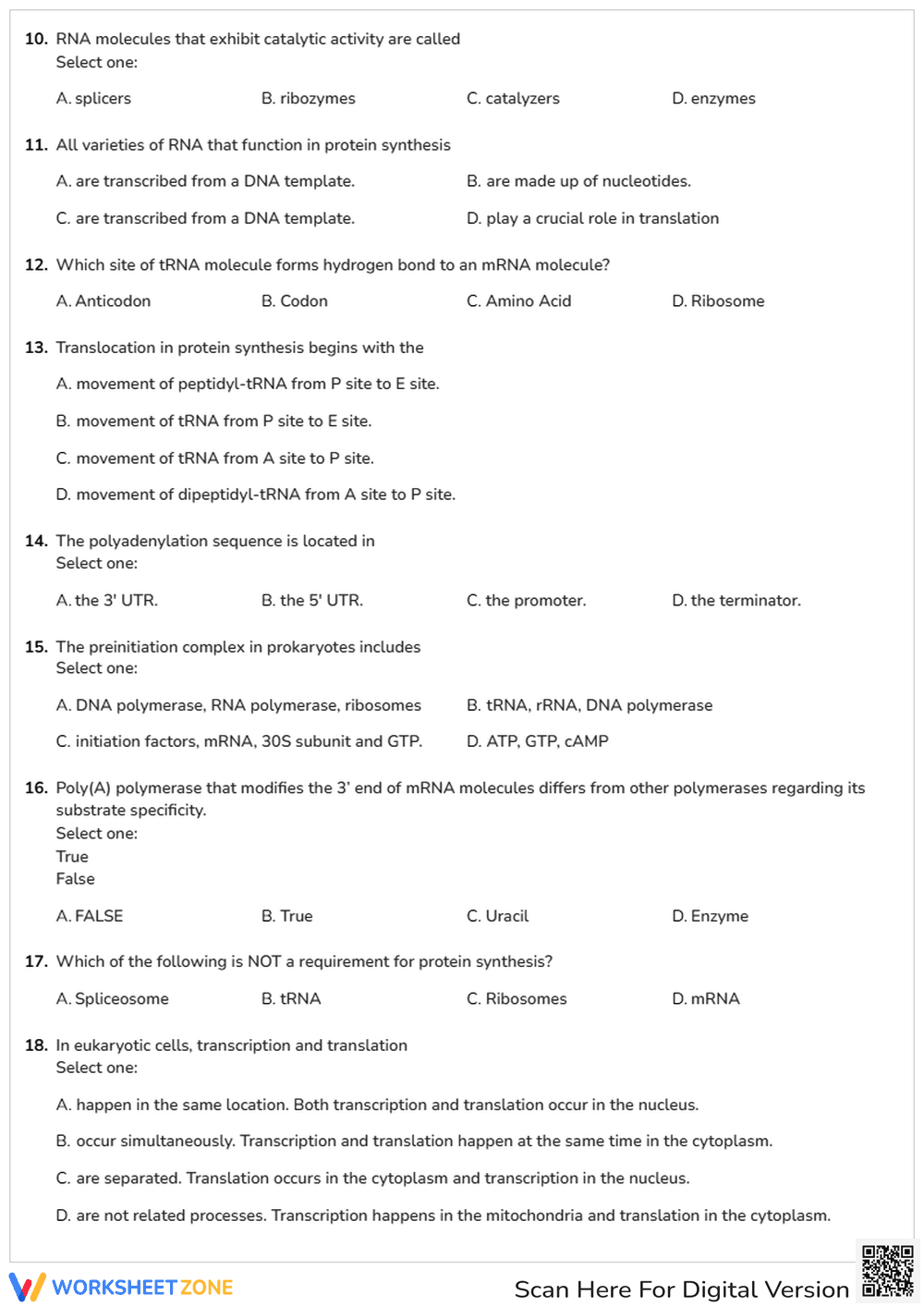 Transcription & Translation Quiz | Essential College Biology - Page 2