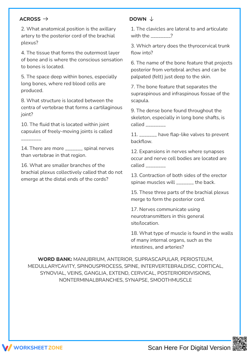 Systems, Back, and Shoulders Assessment | Essential Anatomy - Page 2