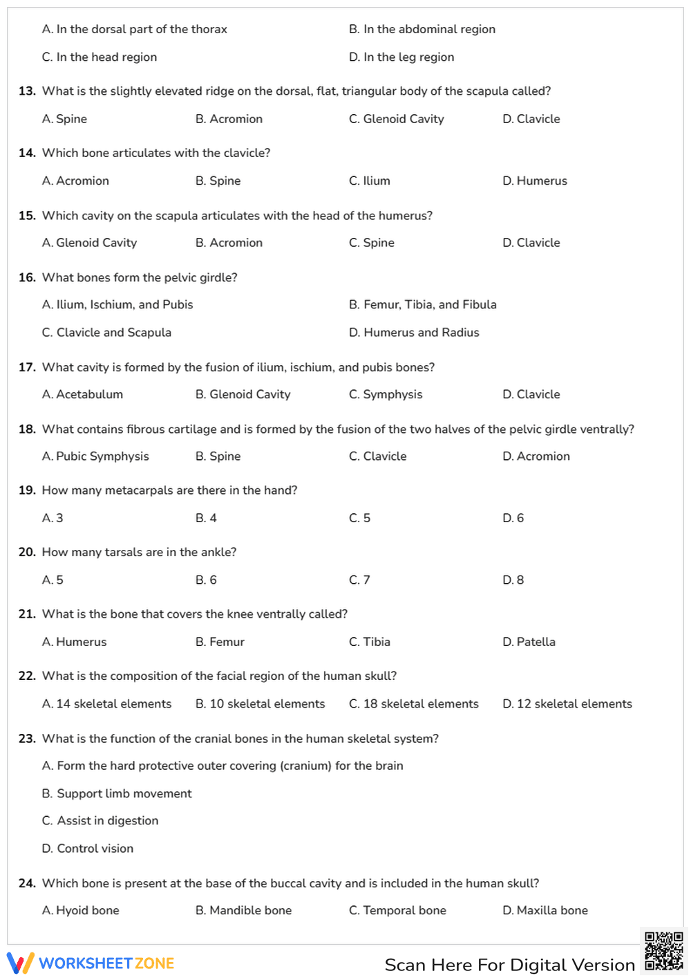 Locomotion and Movement Worksheet | Grade 12 Essential - Page 2