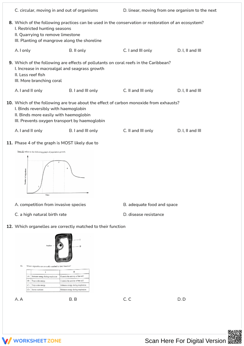 Grade 9-12 Biology Review — Printable No-Prep Worksheet - Page 2