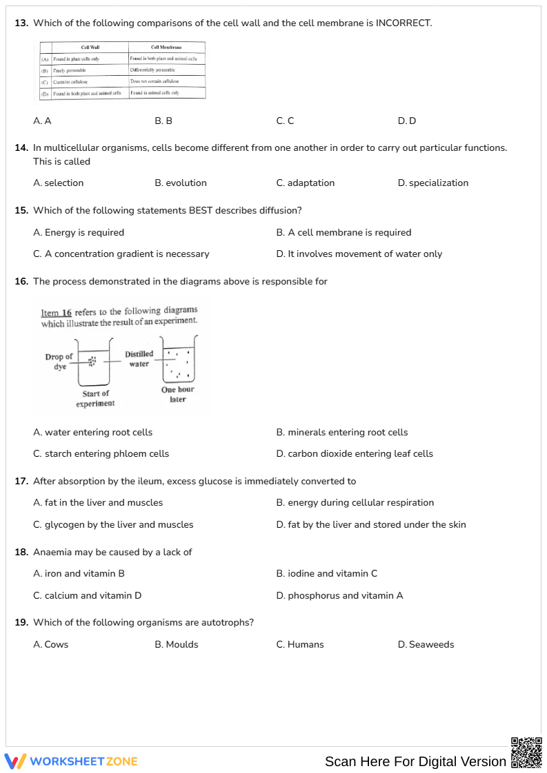 Grade 9-12 Biology Review — Printable No-Prep Worksheet - Page 3