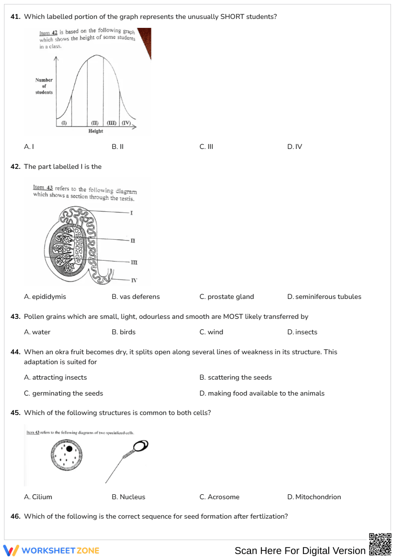 Grade 9-12 Biology Review — Printable No-Prep Worksheet - Page 8