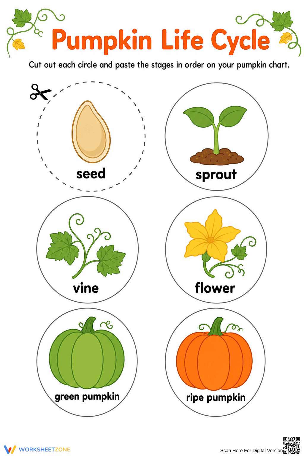 Essential Pumpkin Life Cycle Worksheet | Grade K Science - Page 2