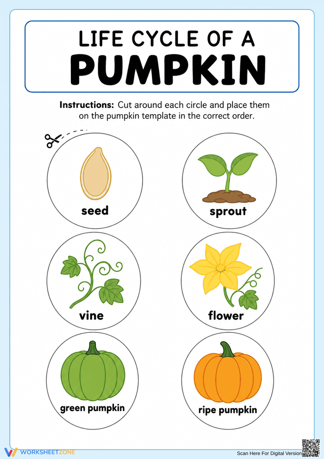 Printable Pumpkin Life Cycle Worksheet | Grade 3 Science - Page 2