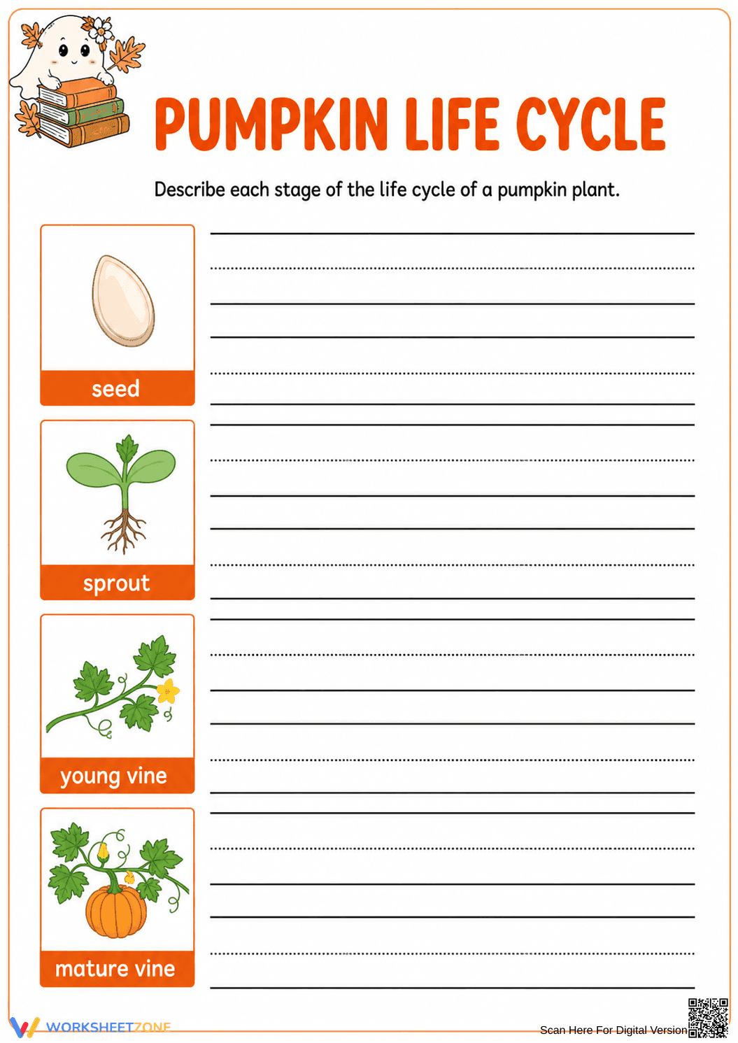Pumpkin Life Cycle Worksheet | Essential Grade 1-2 Science - Page 2