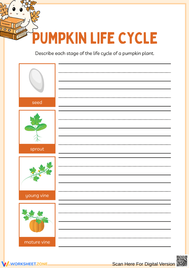 Pumpkin Life Cycle Cut and Write Worksheets - Page 2