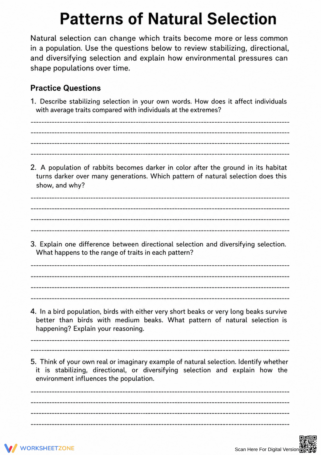 Grade 9 Natural Selection — Printable No-Prep Worksheet - Page 2