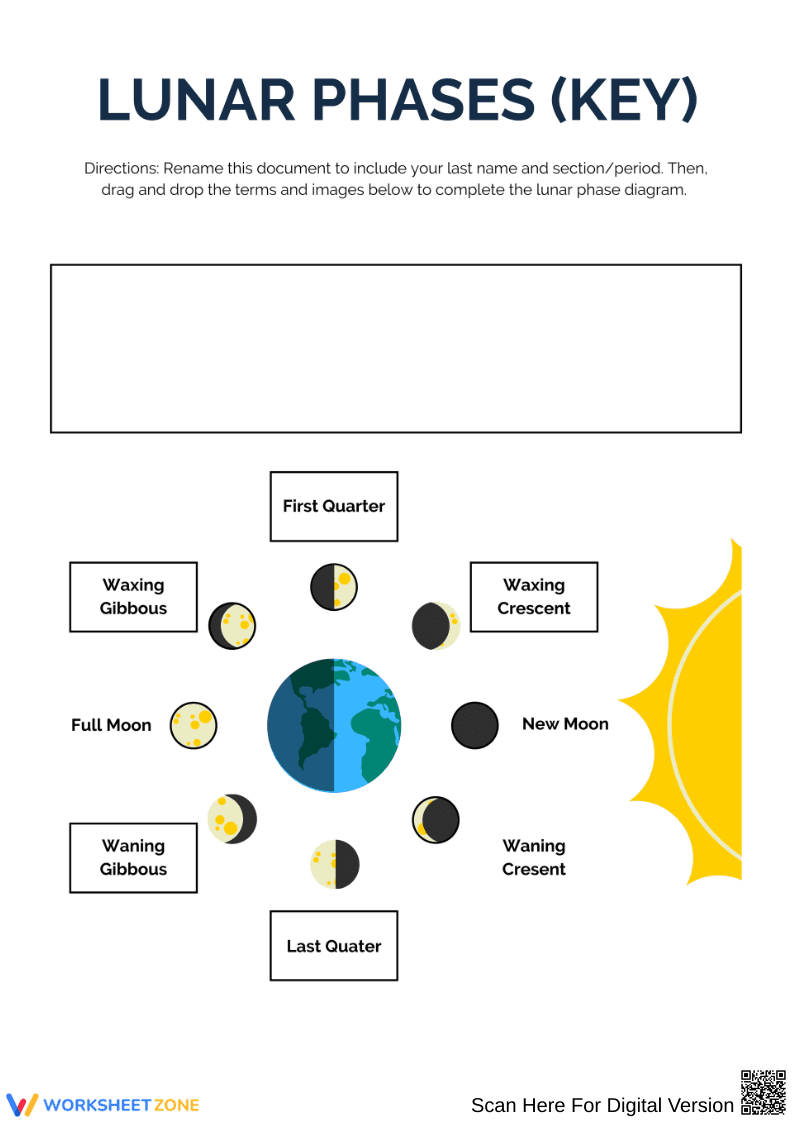 Lunar Phases Drag-and-Drop Diagram Worksheet - Page 2