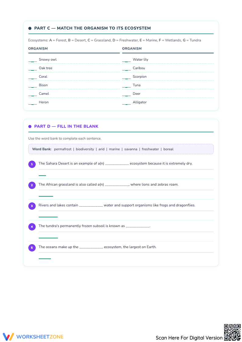 Ecosystem, Biodiversity, and Energy Pyramid Worksheets - Page 4