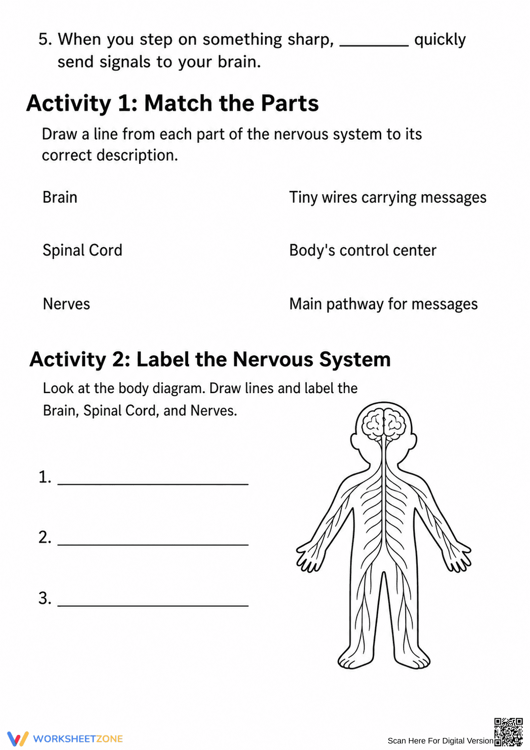 Essential Nervous System Worksheet | Grade 4-5 Science - Page 2