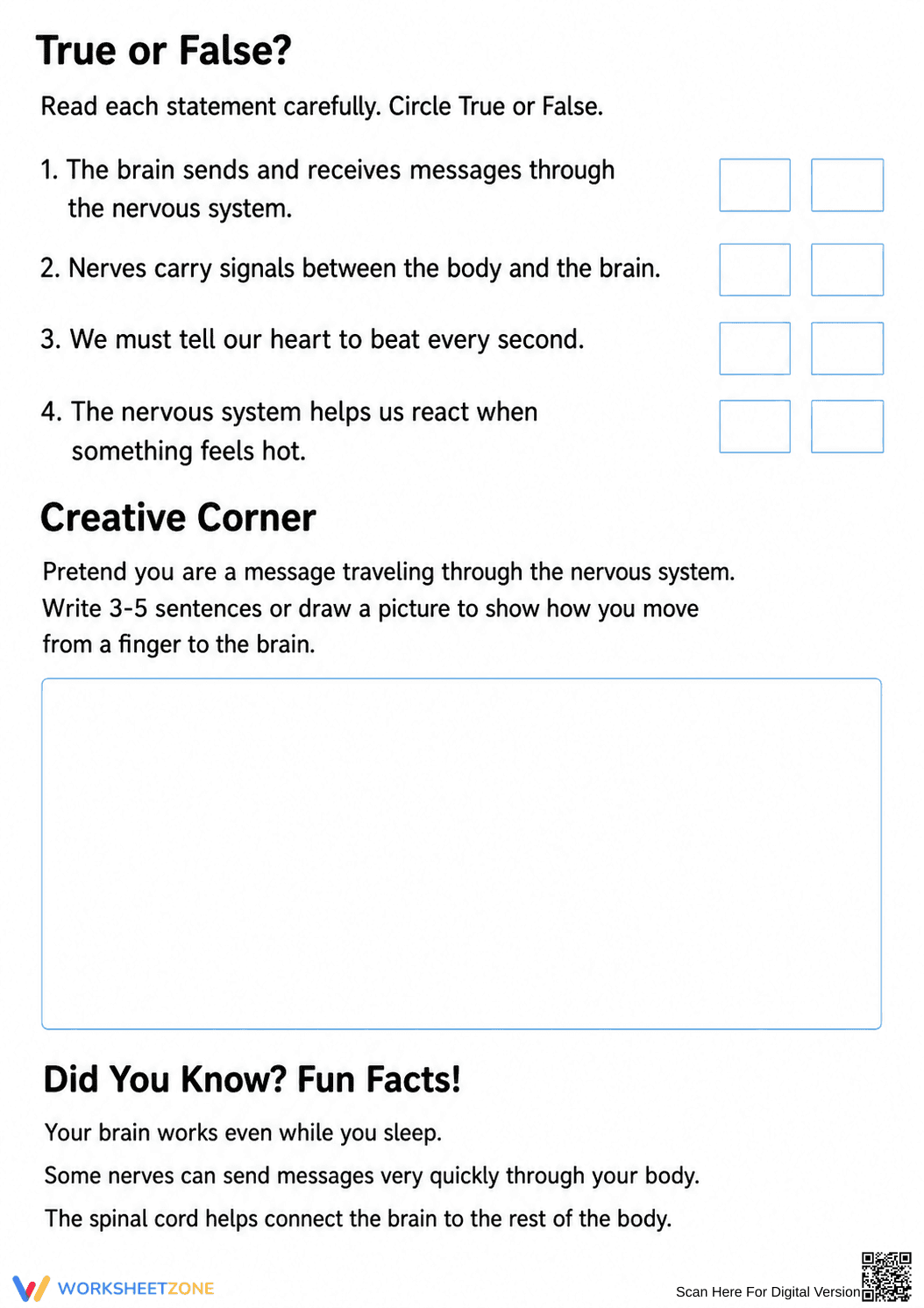 Essential Nervous System Worksheet | Grade 4-5 Science - Page 3