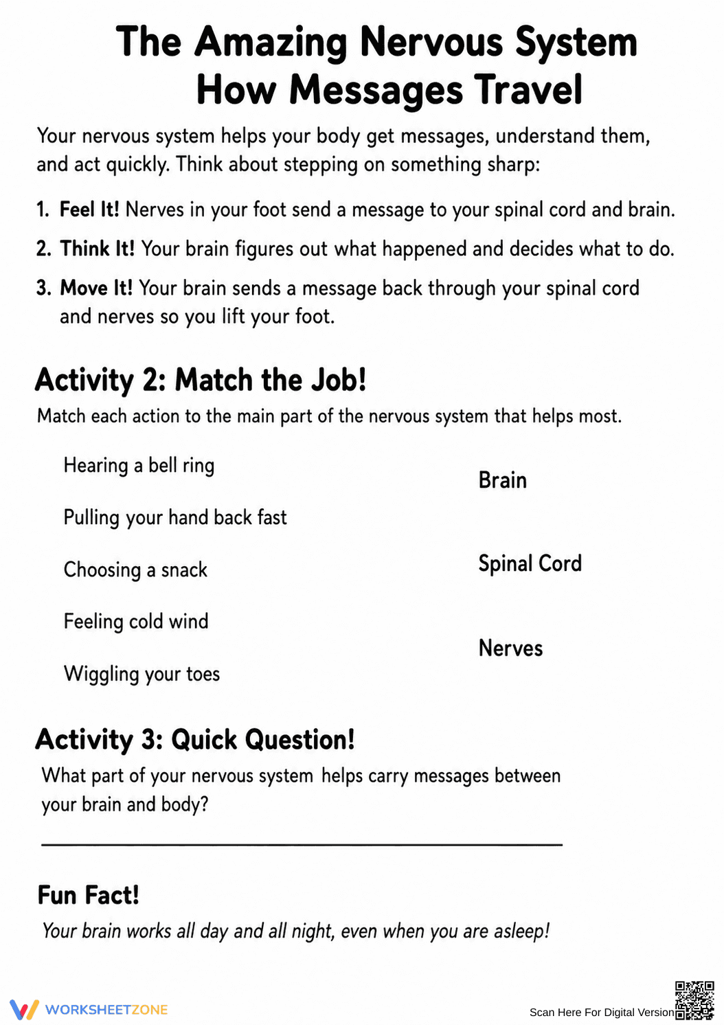 Grade 4 Nervous System — Printable No-Prep Worksheet - Page 2