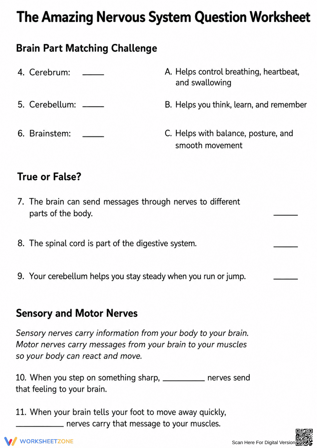 Essential Nervous System Worksheet | Grade 4-5 Science - Page 2