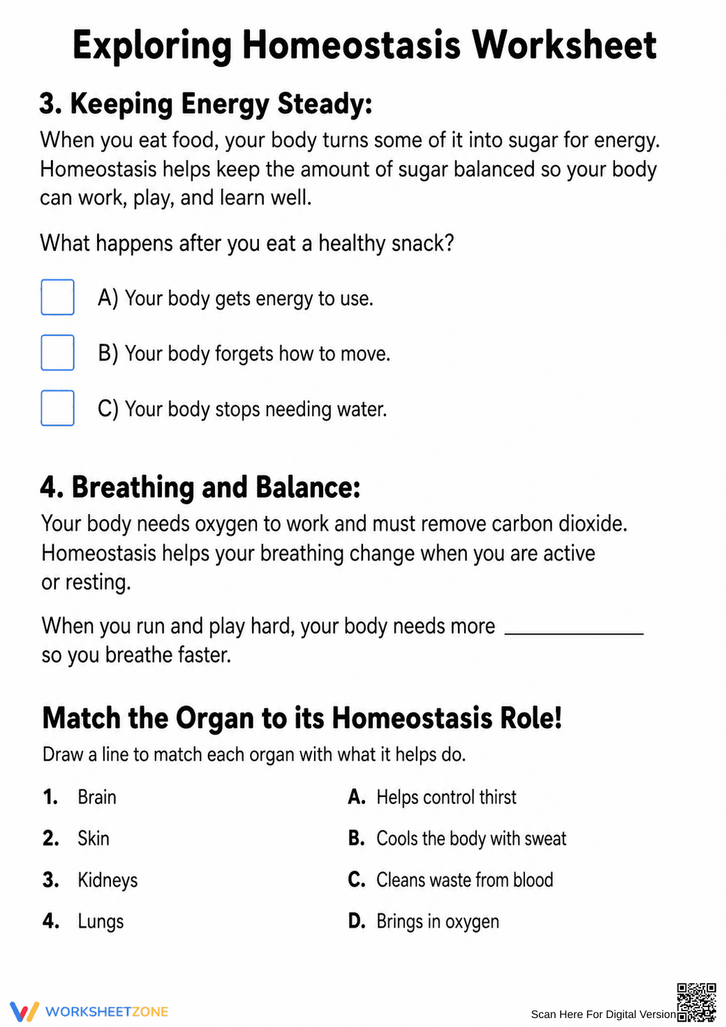 Homeostasis Worksheet: Essential Grade 4-5 Science Guide - Page 2