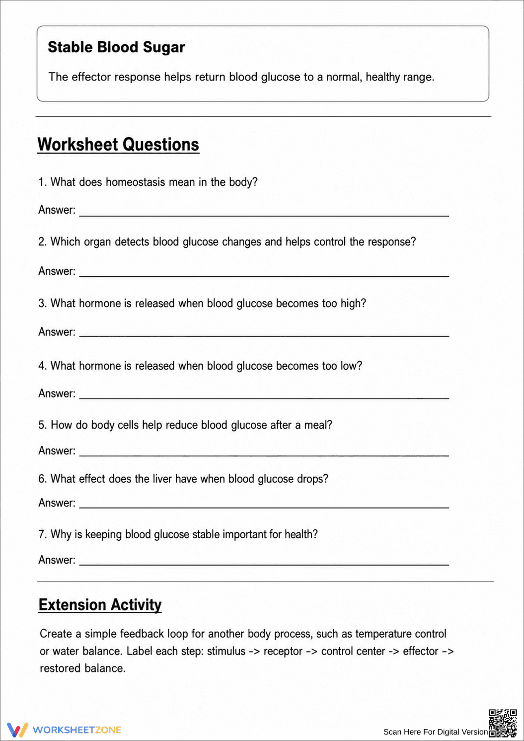 Homeostasis Glucose Regulation Worksheet | Essential Grade 8 - Page 2