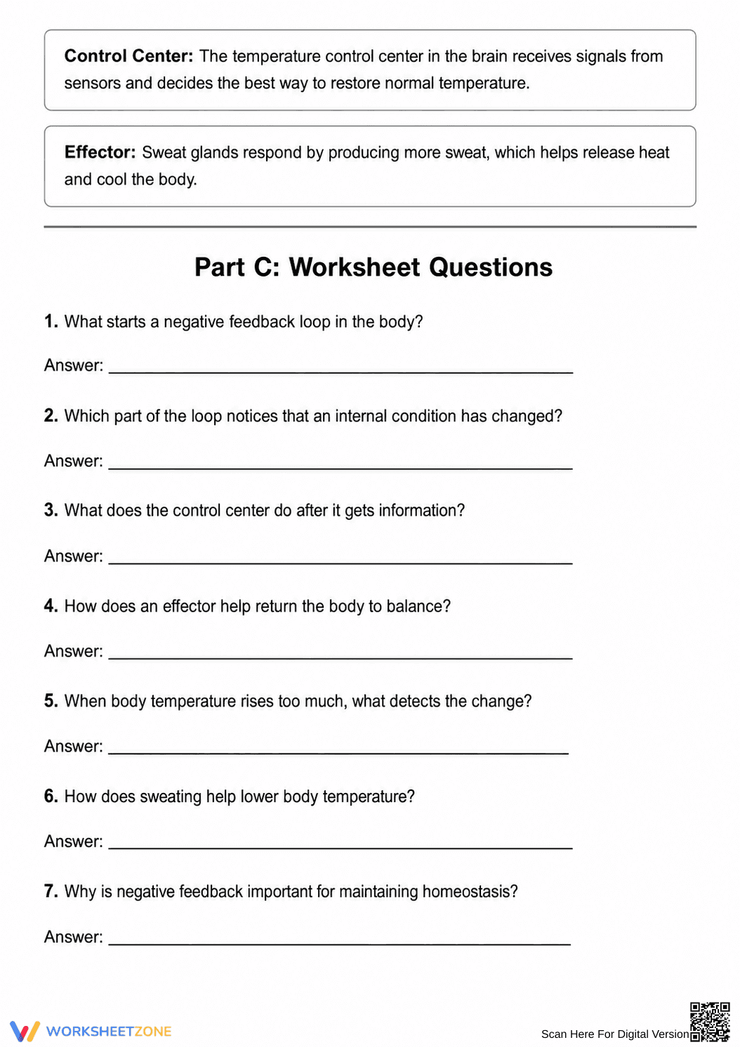 Printable Negative Feedback Worksheet | Grade 7 Science - Page 2