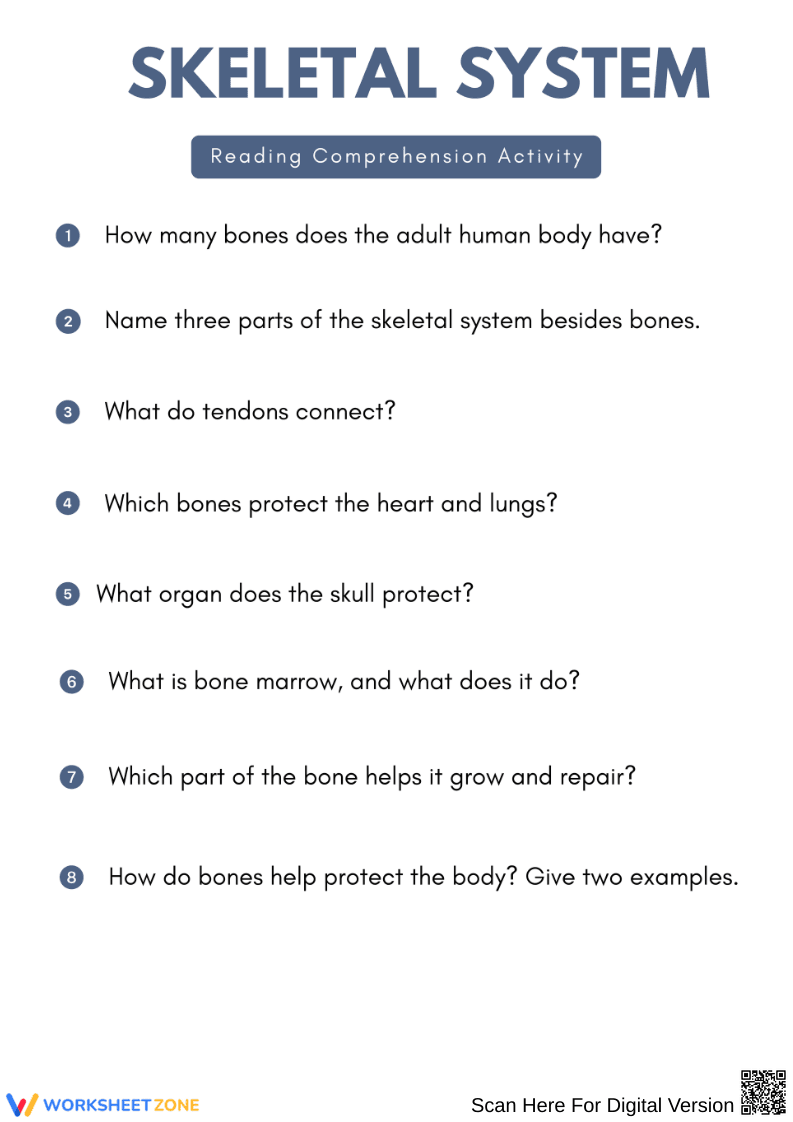 Skeletal System Reading Comprehension Worksheet - Page 2